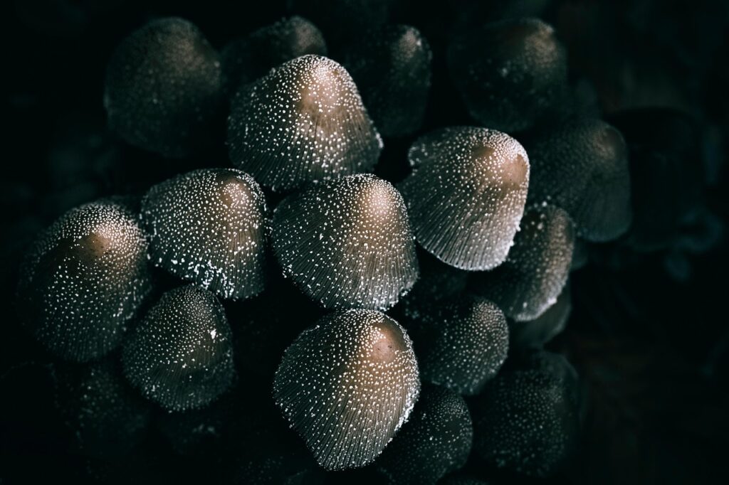 新卒就活エージェントの内定後辞退に対するフォローはどうすればいい？