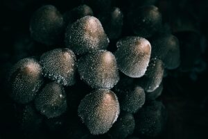 新卒就活エージェントの内定後辞退に対するフォローはどうすればいい？