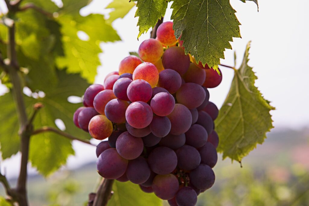 新卒の就活エージェントに対する断り方のマナーは？