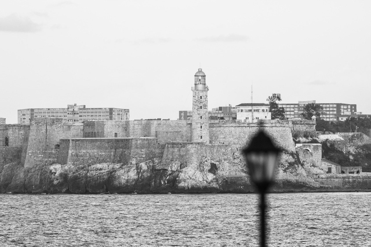 新卒就活でエージェントを利用する際の条件は24卒でも遅れないのか？