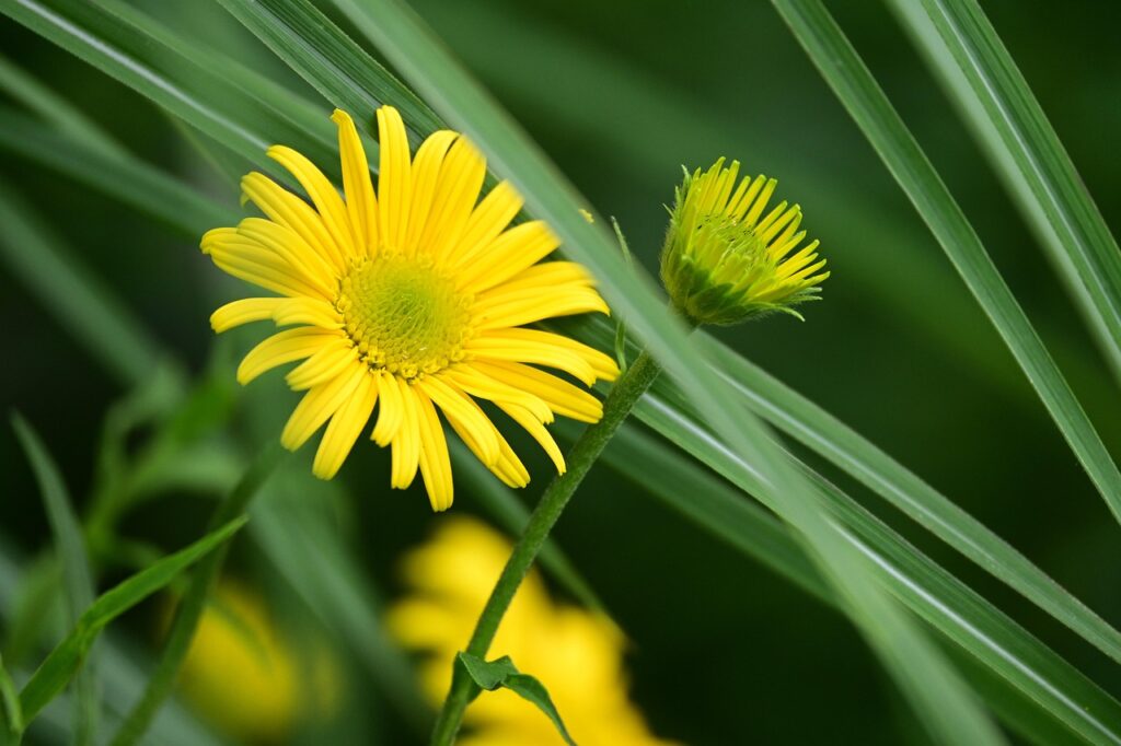 新卒の就活でエージェントに悩んだ時の断り方は？