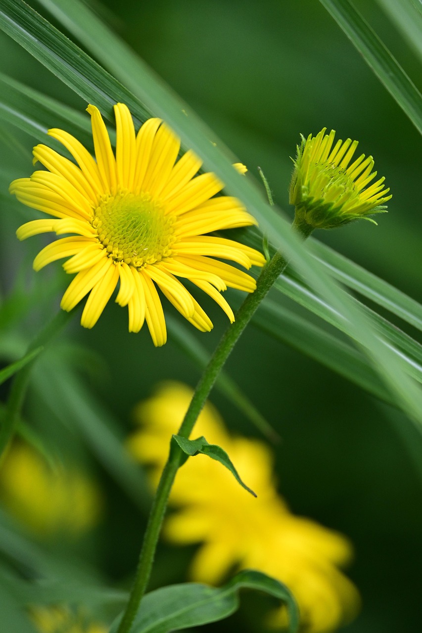 新卒の就活でエージェントを利用する際の悩みとその変更方法は？